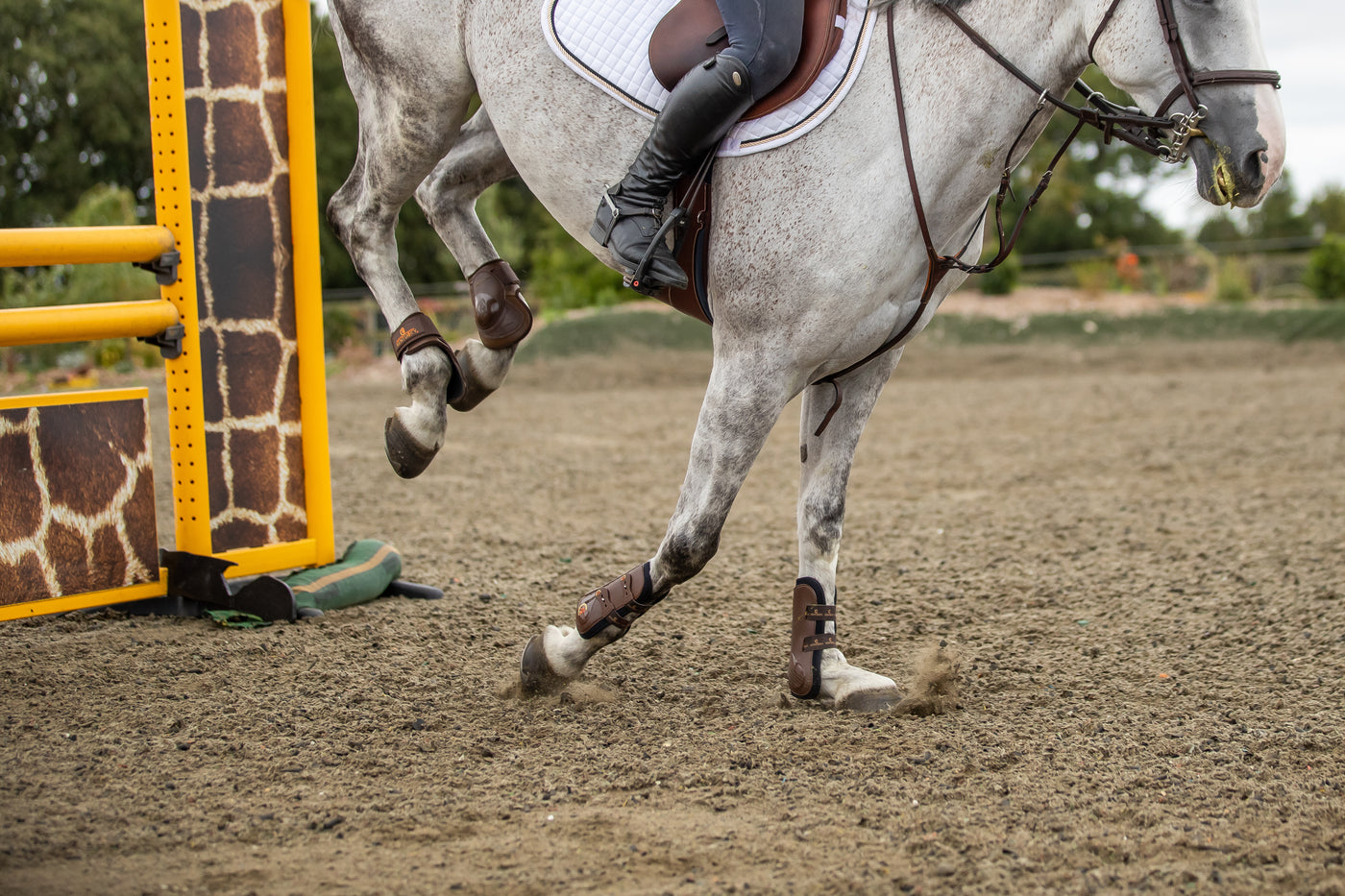 Which joint supplement is right for me?