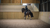 Distant view of a horse being ridden round an indoor riding ring