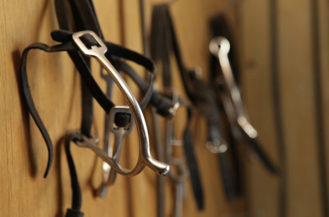 Riding gear hung on the wall