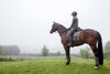 Horse and rider standing in a misty field