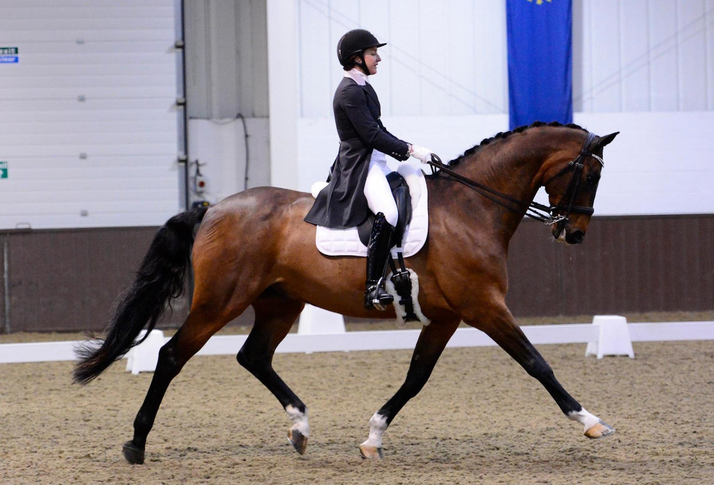 Side view of a girl riding a horse in an indoor ring