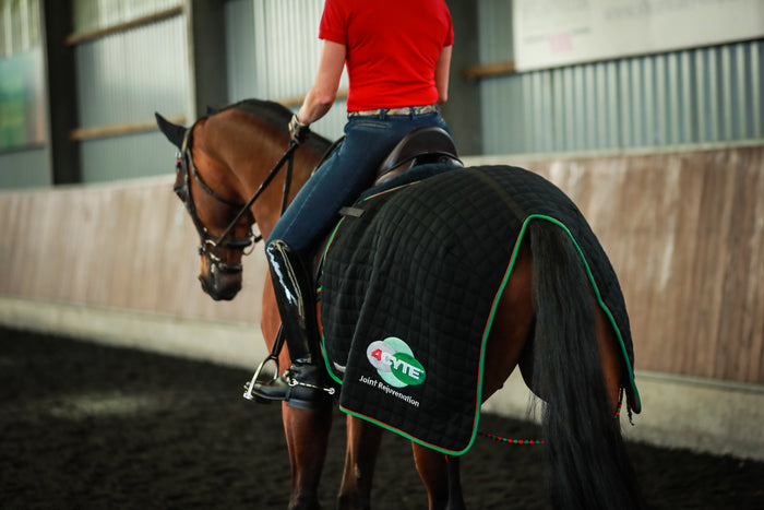 Back view of a horse being ridden in an indoor ring