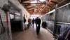 A view inside a stables with a horse being led outside