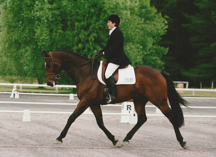 Side view of horse being ridden