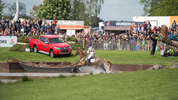 Effects of a Pandemic