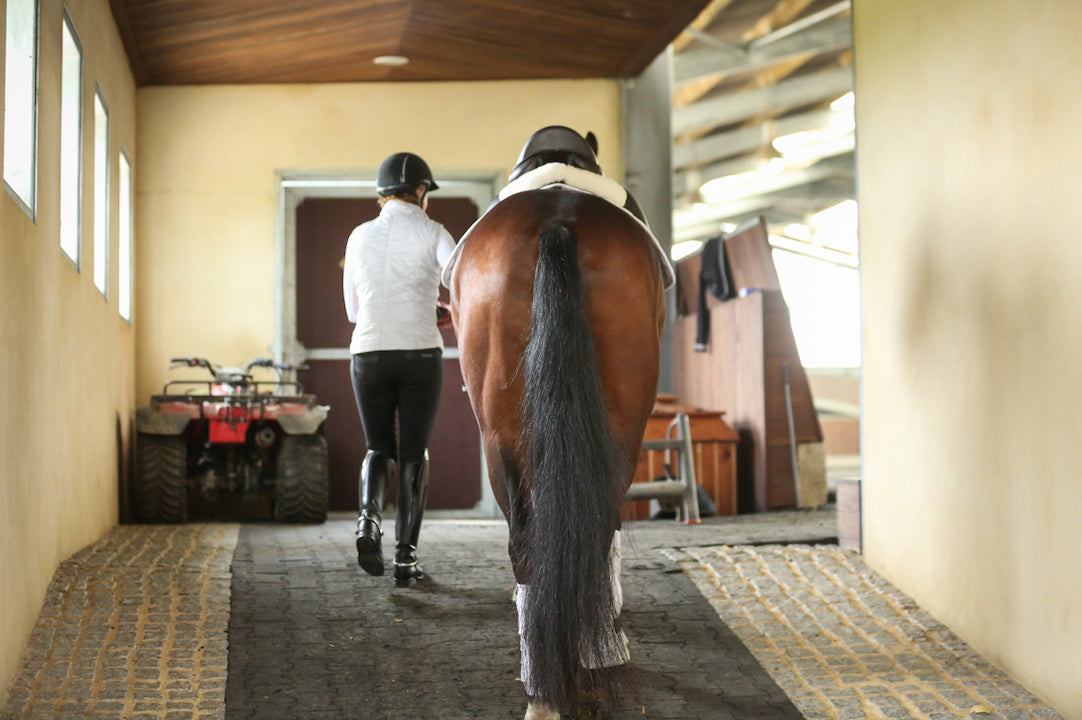 A horse being walked through a stable, taken from behind