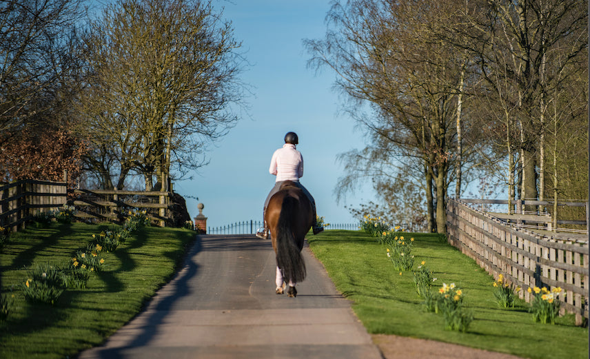 Horse being ridden down an empty flower-lined road