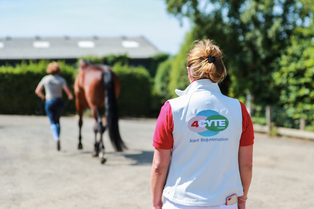 From behind, a woman watching a person walk a horse away