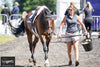 Woman leading a horse outside at a show