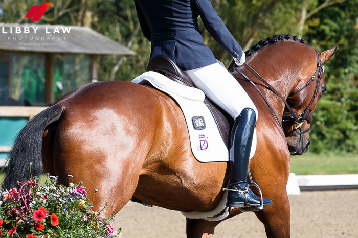 Close up side view of a brown horse being ridden in an outdoor ring