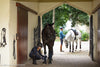 Two people caring for their horses in the archway entrance to a stable