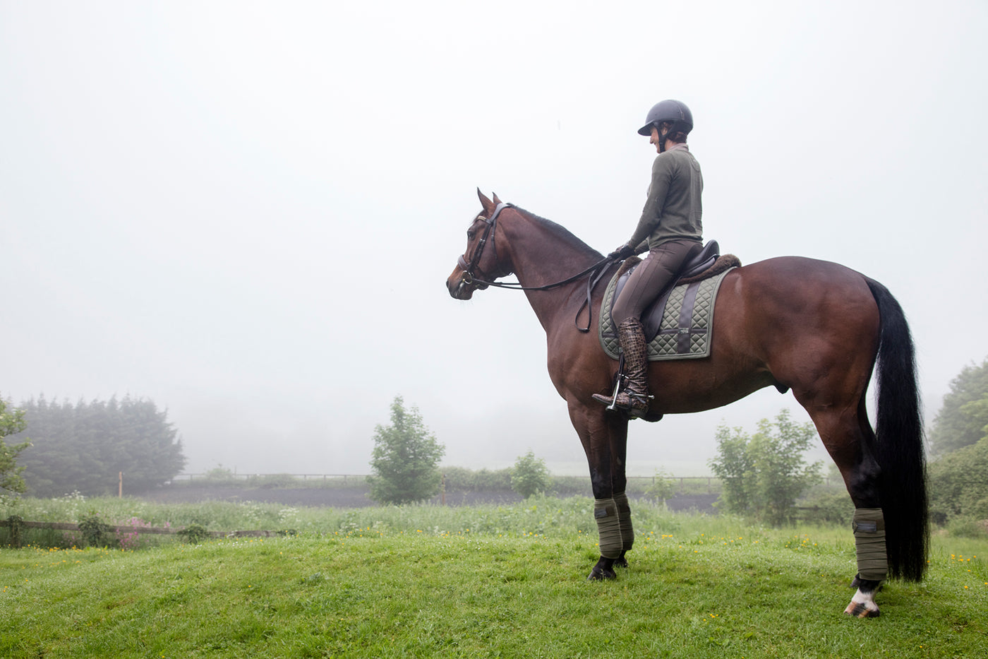 Horse and rider standing in a misty field