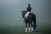 Horse and its rider standing in the mist