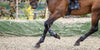 The bottom half of a horse during mid-run