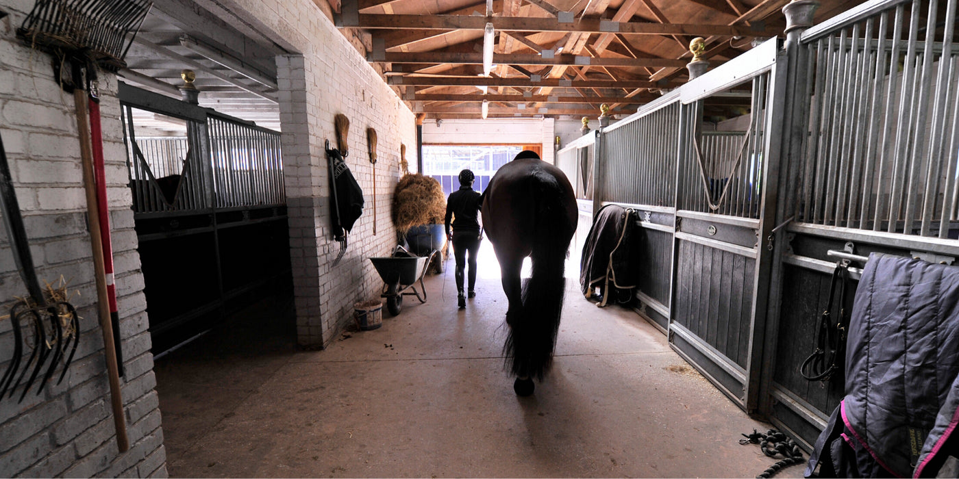 Inside a stable