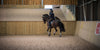 Horse being ridden around a riding hall