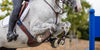 Close up of the side of a grey horse mid-jump