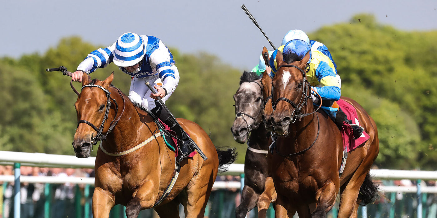 A frontal shot of two jockeys riding horses