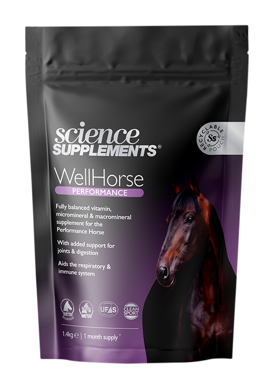 WellHorse Performance