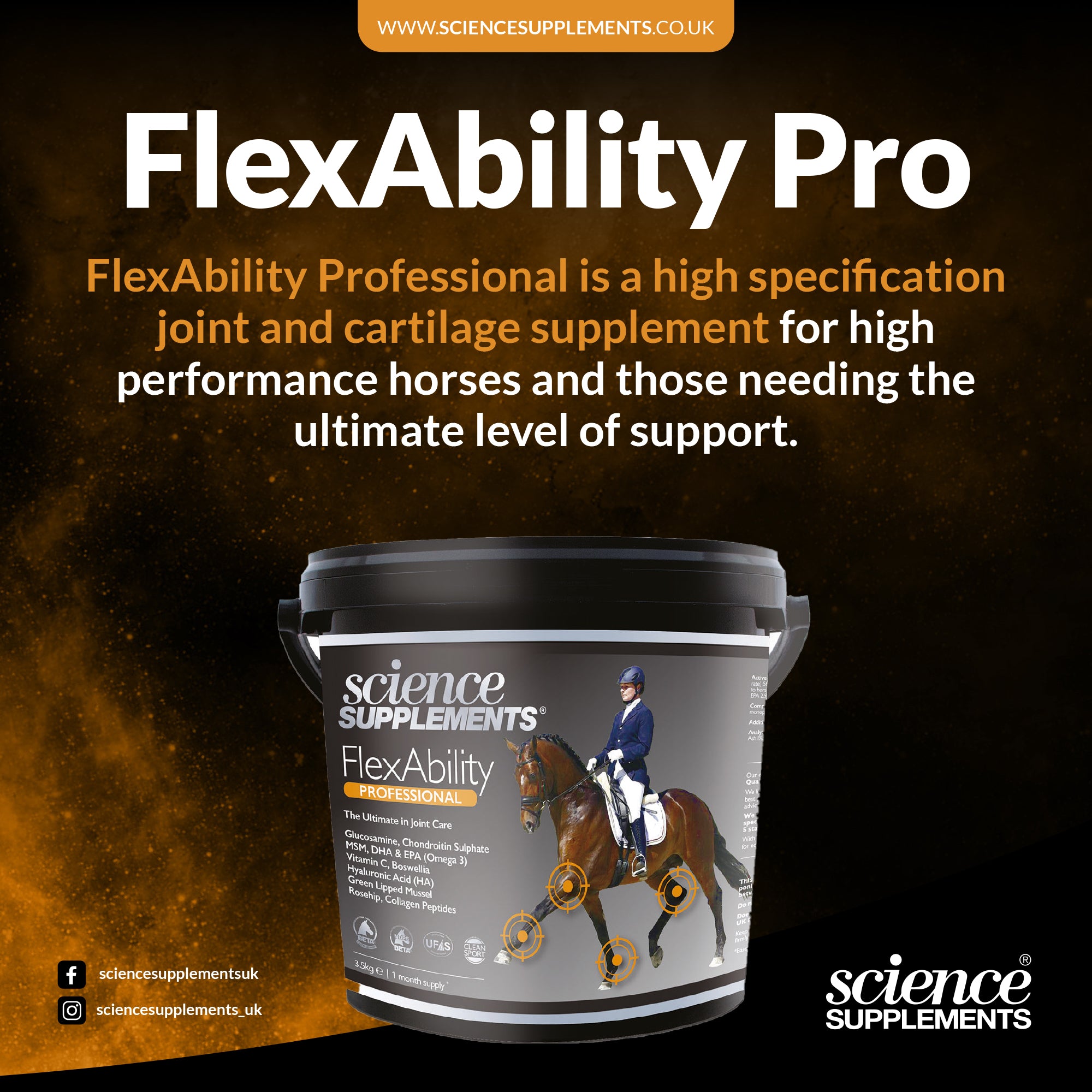 FlexAbility Professional