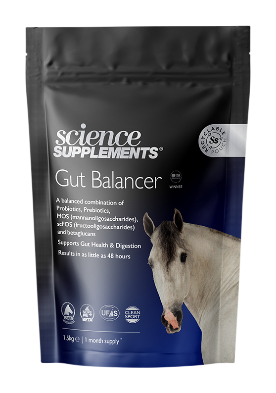 Gut Balancer