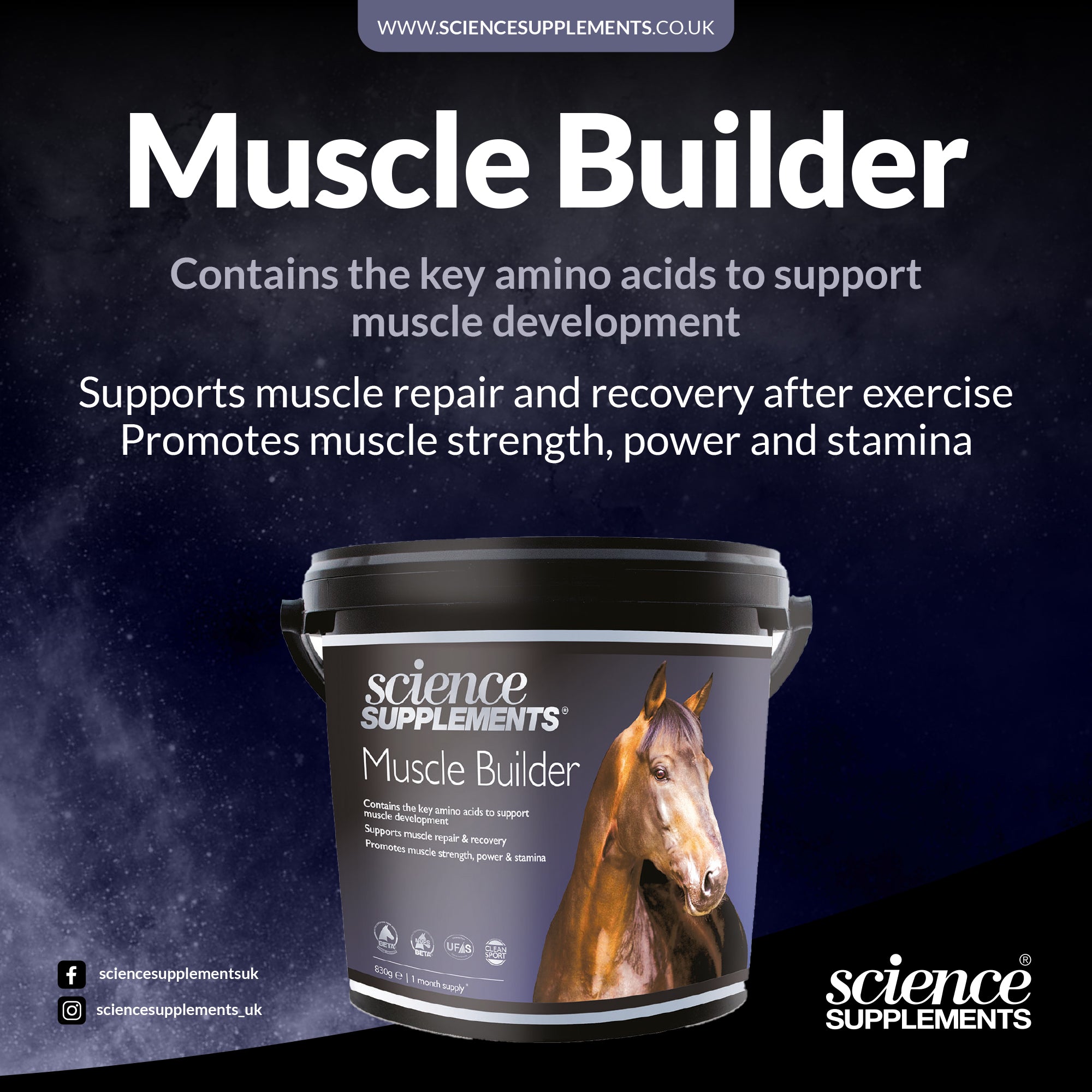 Muscle Builder